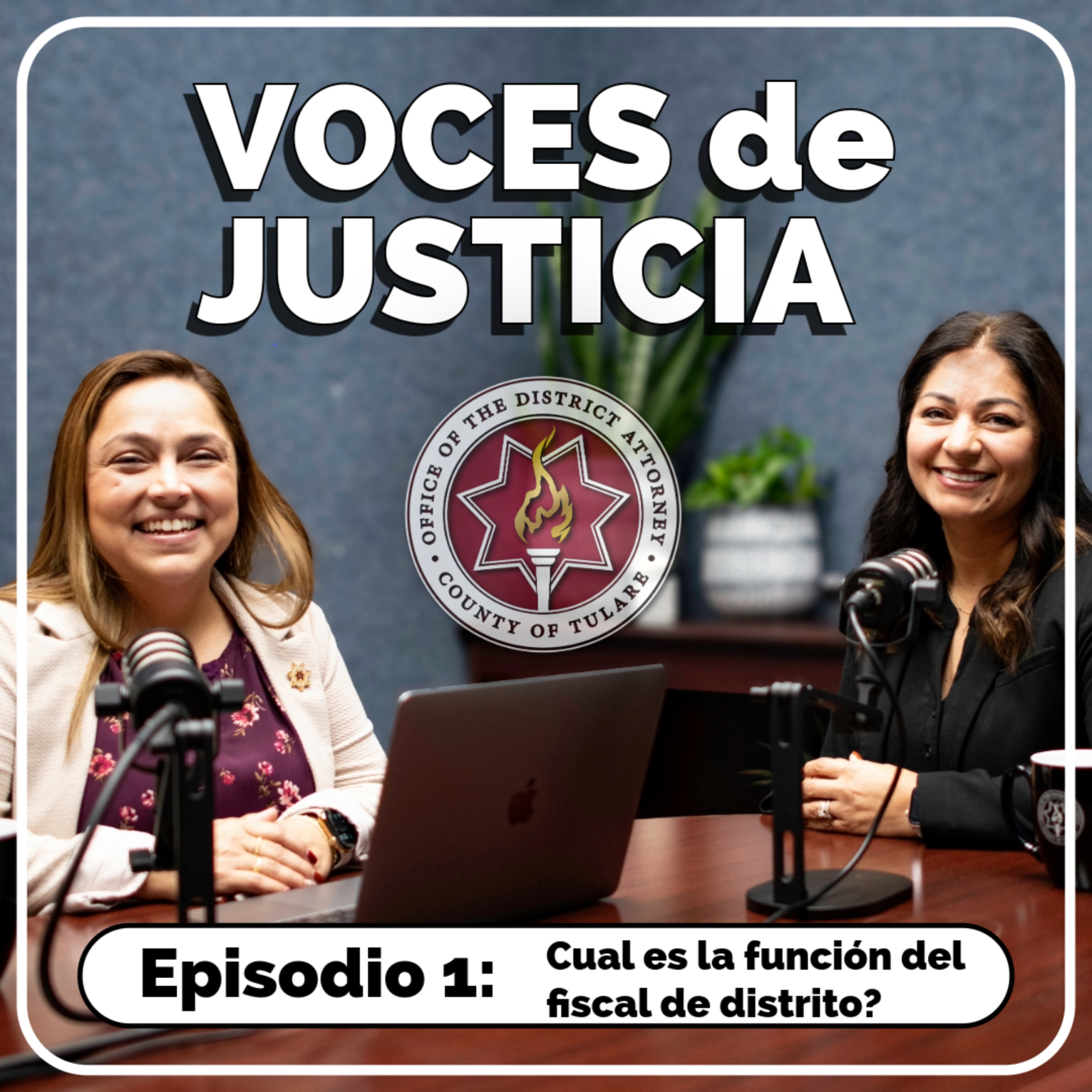 Episodio 1: Cual es la función del fiscal de distrito?