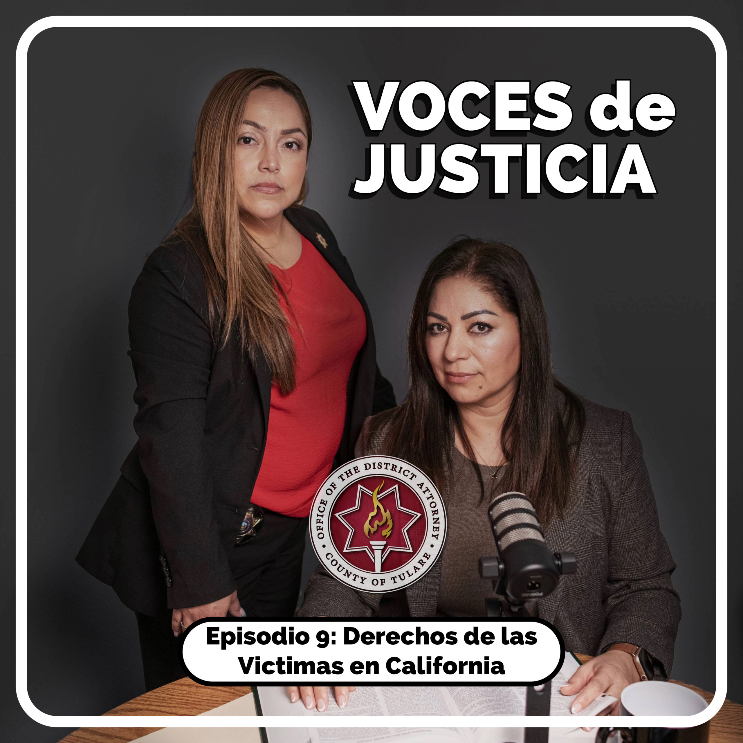 Episodio 9: Derechos de las Víctimas en California